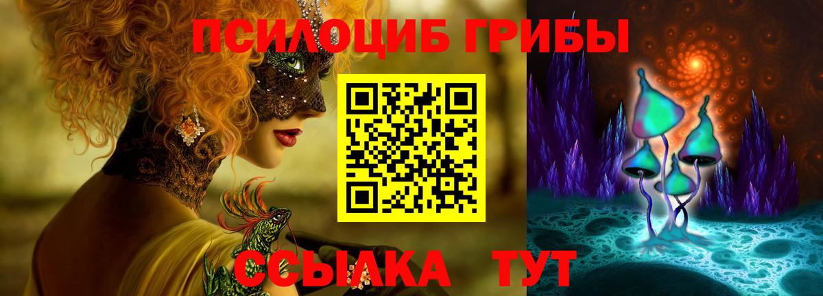 Галлюциногенные грибы Psilocybine cubensis  Галлюциногенные грибы мицелий  Сатка  Вход с VPN 